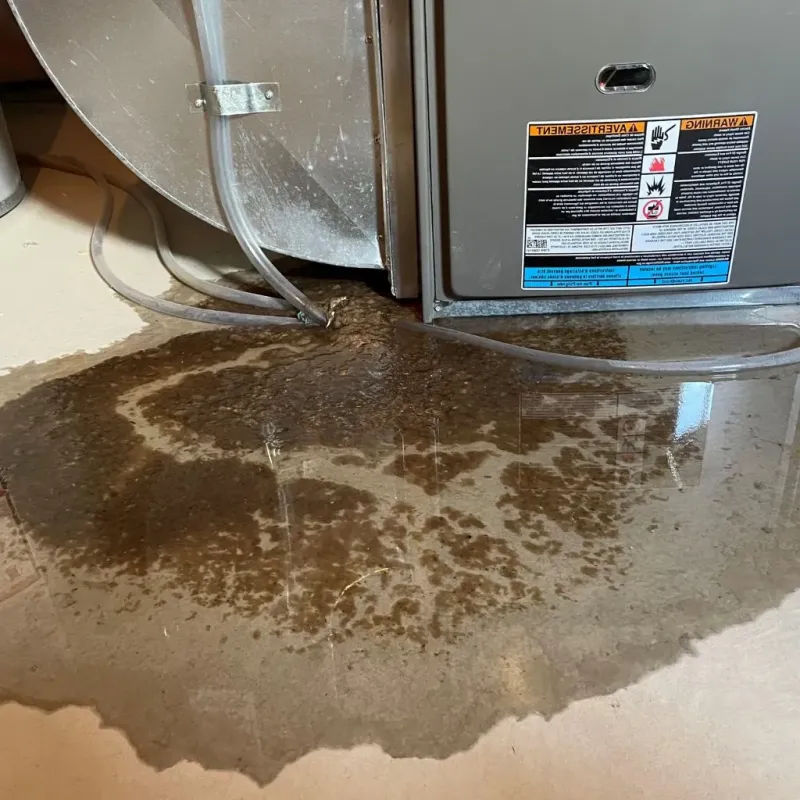 Pipe Burst and Leak Restoration in Granite, OK